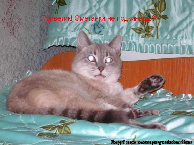 Котоматрица: Приветик! Сметанки не подкинешь?