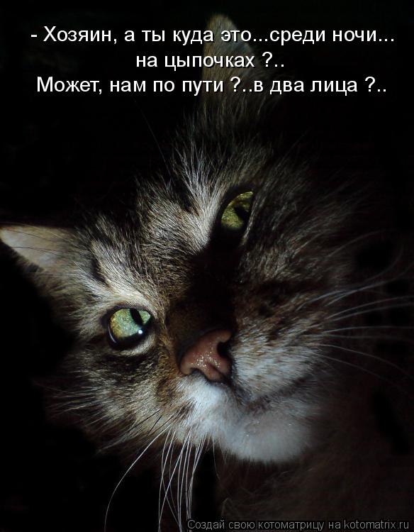 Котоматрица: - Хозяин, а ты куда это...среди ночи... на цыпочках ?.. Может, нам по пути ?..в два лица ?..