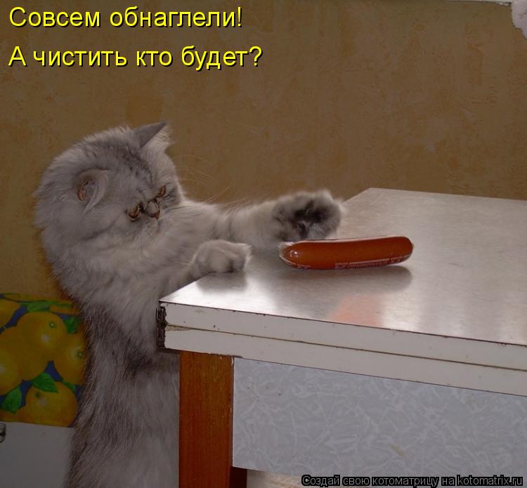 Котоматрица: Совсем обнаглели!  А чистить кто будет?