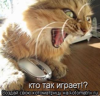 Котоматрица: кто так играет!?