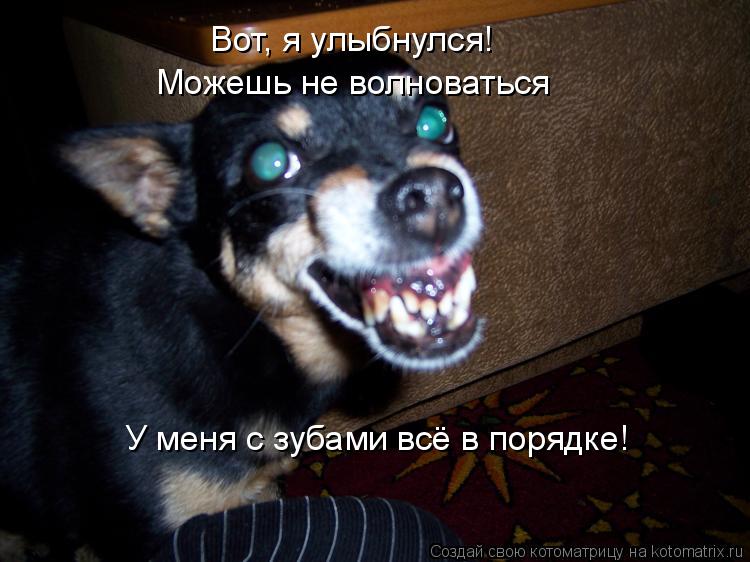 Котоматрица: Вот, я улыбнулся! У меня с зубами всё в порядке! Можешь не волноваться