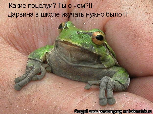 Котоматрица: Какие поцелуи? Ты о чем?!! Дарвина в школе изучать нужно было!!!