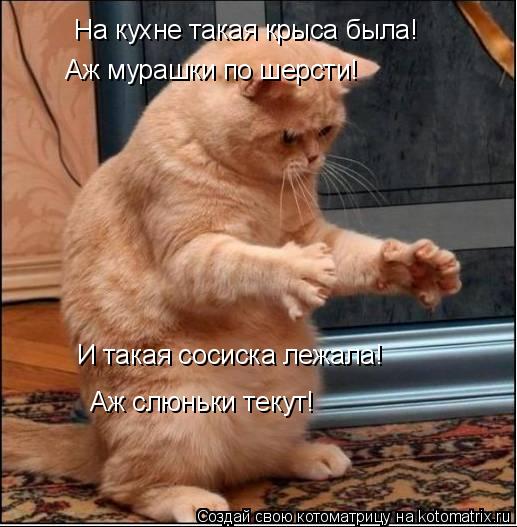 Котоматрица: На кухне такая крыса была! И такая сосиска лежала! Аж слюньки текут! Аж мурашки по шерсти!