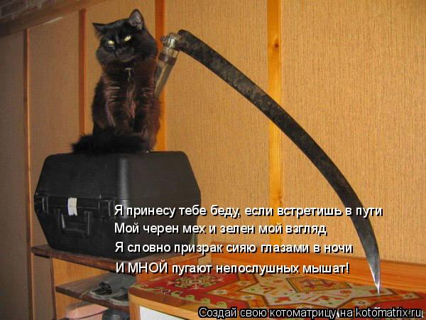Котоматрица: Я принесу тебе беду, если встретишь в пути Мой черен мех и зелен мой взгляд Я словно призрак сияю глазами в ночи И МНОЙ пугают непослушных мы