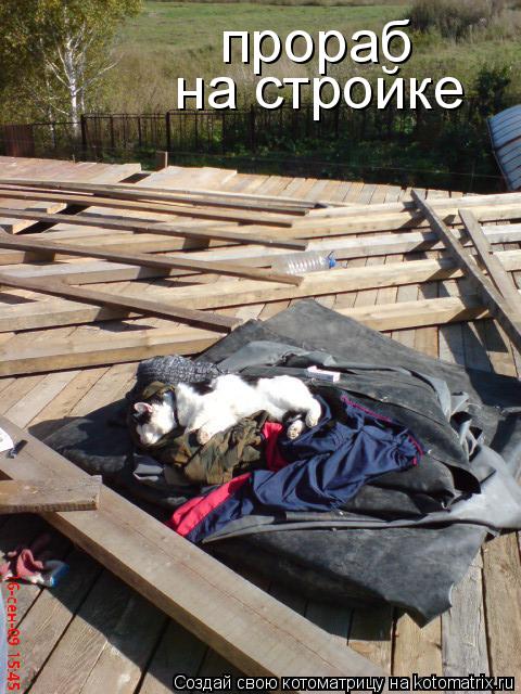 прораб на стройке... Котоматрица: прораб на стройке