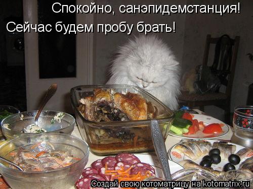 Спокойно, санэпидемстанция! Сейчас будем пробу брать!... Котоматрица: Спокойно, санэпидемстанция! Сейчас будем пробу брать!