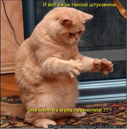И вот из-за такоой штуковины... Она меня на мужа променяла!??... Котоматрица: И вот из-за такоой штуковины... Она меня на мужа променяла!??