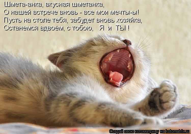 Шмета-анка, вкусная шметанка, О нашей встрече вновь - все мои мечты-ы! Пусть на столе тебя, забудет в... Котоматрица: Шмета-анка, вкусная шметанка, О нашей встрече вновь - все мои мечты-ы! Пусть на столе тебя, забудет вновь хозяйка, Останемся вдвоём, с тобою,