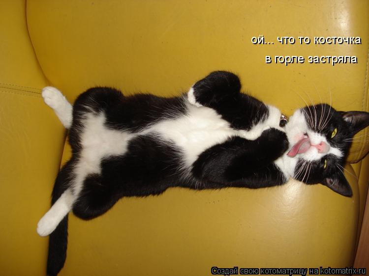 ой... что то косточка в горле застряла... Котоматрица: ой... что то косточка в горле застряла