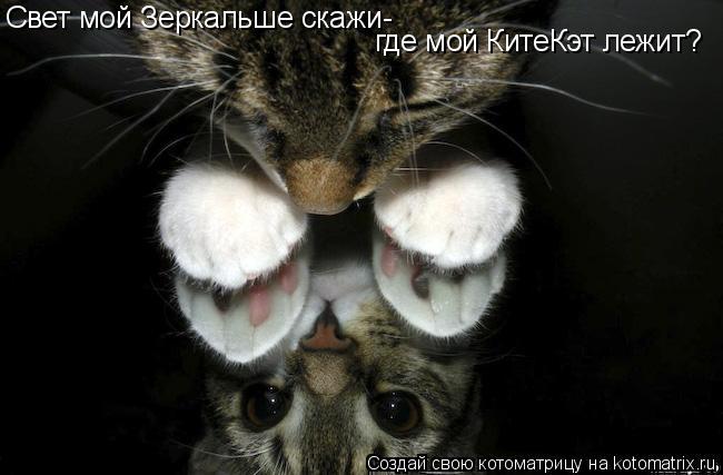 Свет мой Зеркальше скажи- где мой КитеКэт лежит?... Котоматрица: Свет мой Зеркальше скажи- где мой КитеКэт лежит?