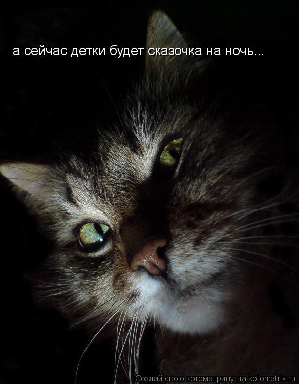 а сейчас детки будет сказочка на ночь...... Котоматрица: а сейчас детки будет сказочка на ночь...