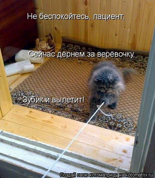 Не беспокойтесь, пациент, Сейчас дёрнем за верёвочку, Зубик и вылетит!... Котоматрица: Не беспокойтесь, пациент, Сейчас дёрнем за верёвочку, Зубик и вылетит!