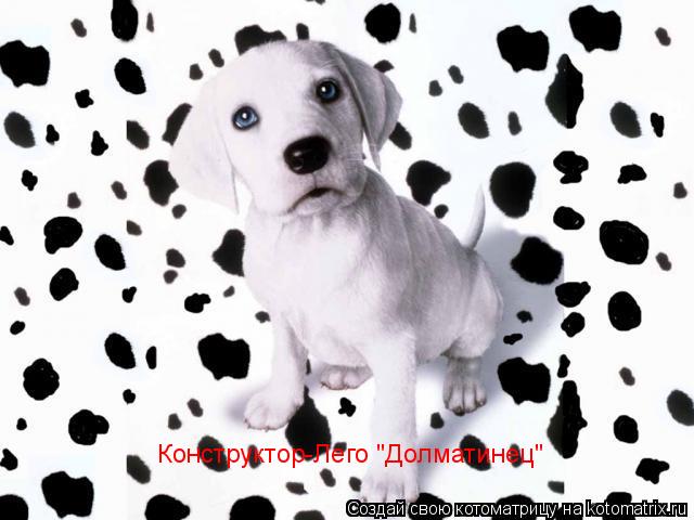 Конструктор-Лего "Долматинец"... Котоматрица: Конструктор-Лего "Долматинец"