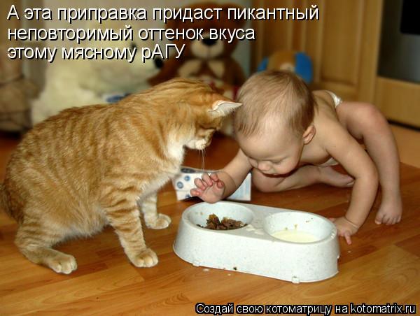А эта приправка придаст пикантный неповторимый оттенок вкуса этому мясному рАГУ... Котоматрица: А эта приправка придаст пикантный неповторимый оттенок вкуса этому мясному рАГУ