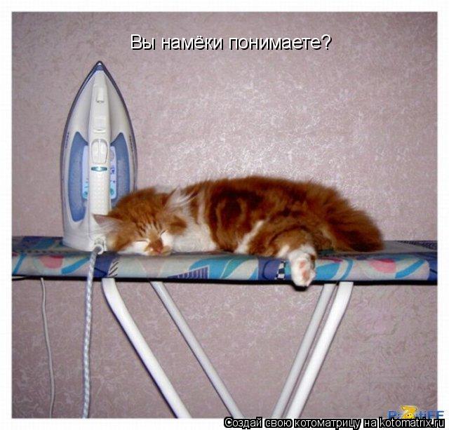 Вы намёки понимаете?... Котоматрица: Вы намёки понимаете?