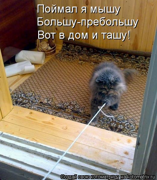 Поймал я мышу Большу-пребольшу Вот в дом и ташу!... Котоматрица: Поймал я мышу Большу-пребольшу Вот в дом и ташу!