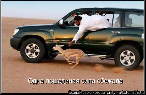 Одна лошадиная сила сбежала.... Котоматрица: Одна лошадиная сила сбежала.