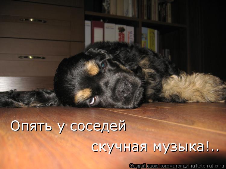 Опять у соседей скучная музыка!..... Котоматрица: Опять у соседей скучная музыка!..