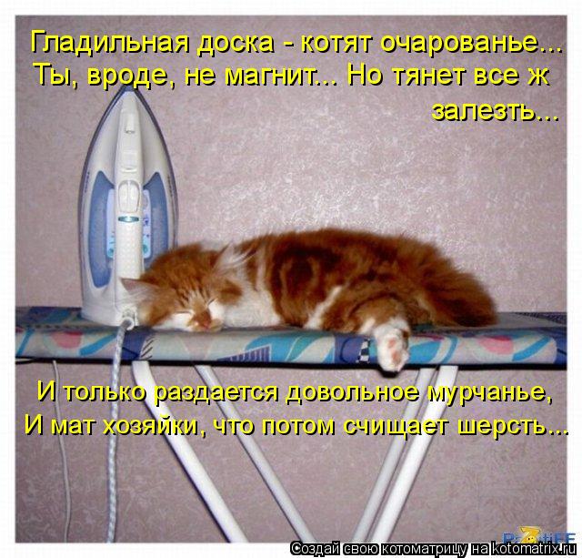 Гладильная доска - котят очарованье... Ты, вроде, не магнит... Но тянет все ж залезть... И только раз... Котоматрица: Гладильная доска - котят очарованье... Ты, вроде, не магнит... Но тянет все ж залезть... И только раздается довольное мурчанье, И мат хозяйки, чт