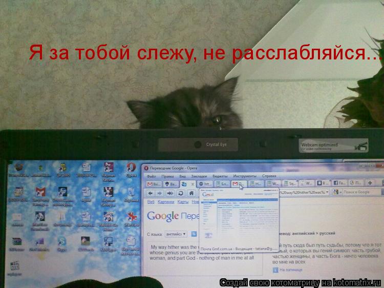 Я за тобой слежу, не расслабляйся....... Котоматрица: Я за тобой слежу, не расслабляйся....