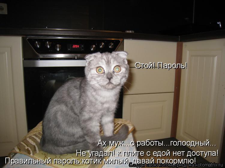Стой! Пароль! Ах муж...с работы...голоодный... Не угадал! к плите с едой нет доступа! Правильный пар... Котоматрица: Стой! Пароль! Ах муж...с работы...голоодный... Не угадал! к плите с едой нет доступа! Правильный пароль:котик милый, давай покормлю!