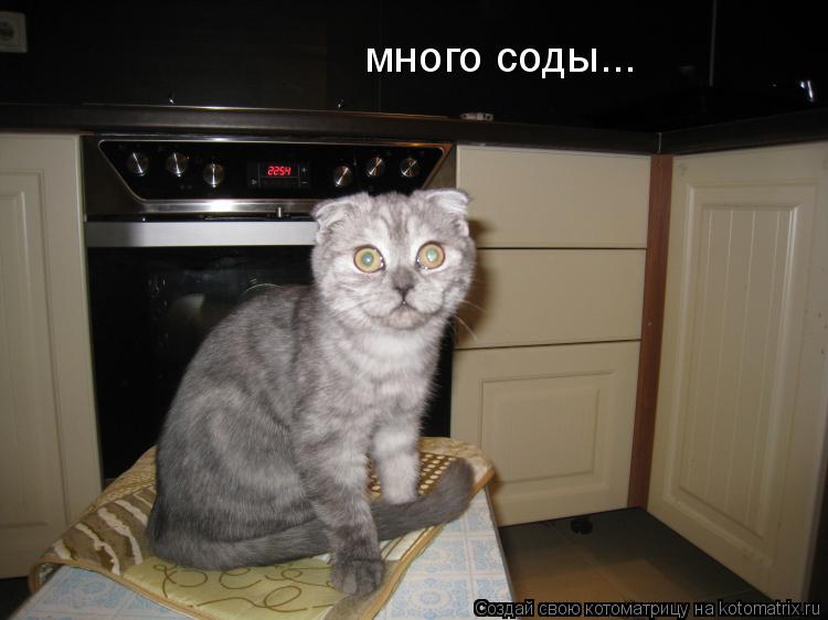 много соды...... Котоматрица: много соды...