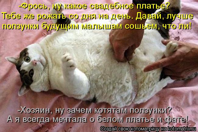 -Фрось, ну какое свадебное платье? Тебе же рожать со дня на день. Давай, лучше А я всегда мечтала о ... Котоматрица: -Фрось, ну какое свадебное платье? Тебе же рожать со дня на день. Давай, лучше А я всегда мечтала о белом платье и фате! ползунки будущим малы