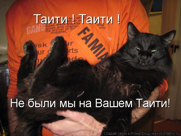Таити ! Таити ! Не были мы на Вашем Таити!... Котоматрица: Таити ! Таити ! Не были мы на Вашем Таити!