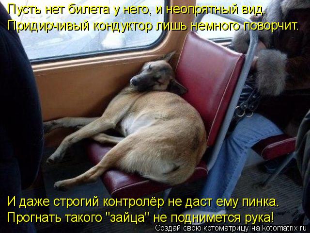 Пусть нет билета у него, и неопрятный вид. Придирчивый кондуктор лишь немного поворчит. И даже строги... Котоматрица: Пусть нет билета у него, и неопрятный вид. Придирчивый кондуктор лишь немного поворчит. И даже строгий контролёр не даст ему пинка. Прогнать