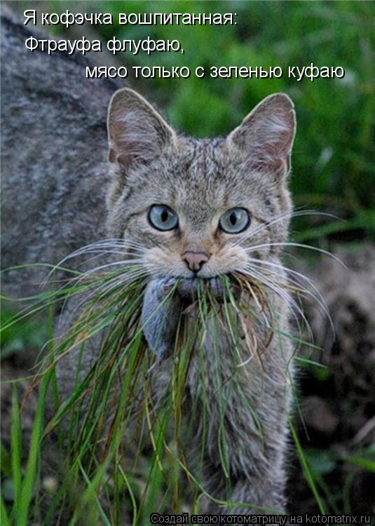 Я кофэчка вошпитанная: Фтрауфа флуфаю, мясо только с зеленью куфаю... Котоматрица: Я кофэчка вошпитанная: Фтрауфа флуфаю, мясо только с зеленью куфаю