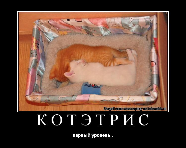 Котоматрица: Котэтрис первый уровень..