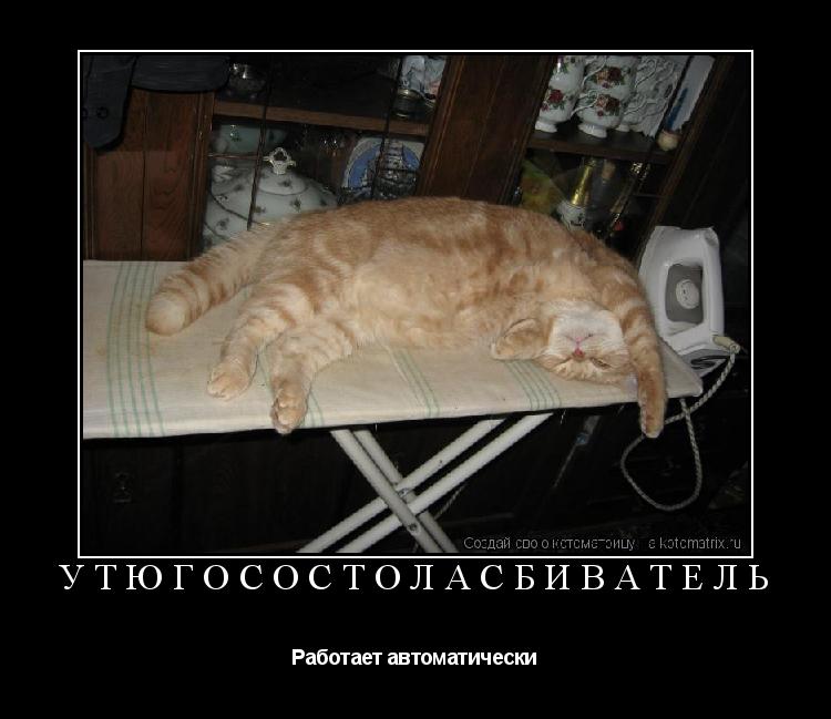 Котоматрица: Утюгосостоласбиватель Работает автоматически