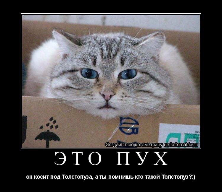 Котоматрица: Это Пух он косит под Толстопуза, а ты помнишь кто такой Толстопуз?:)