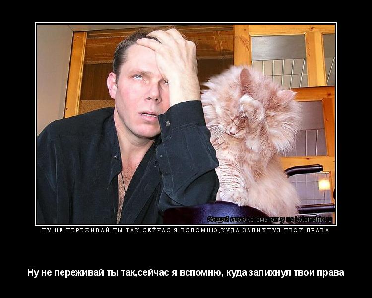 Котоматрица: Ну не переживай ты так,сейчас я вспомню,куда запихнул твои права Ну не переживай ты так,сейчас я вспомню, куда запихнул твои права