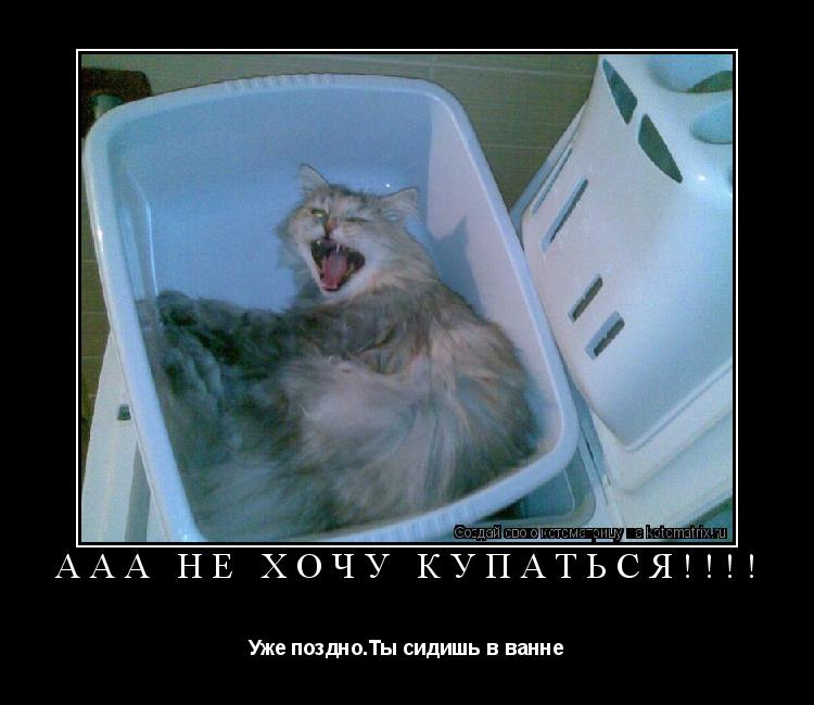 Котоматрица: ААА не хочу купаться!!!! Уже поздно.Ты сидишь в ванне