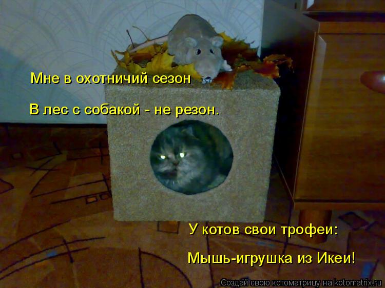 Котоматрица: Мне в охотничий сезон В лес с собакой - не резон. У котов свои трофеи: Мышь-игрушка из Икеи!