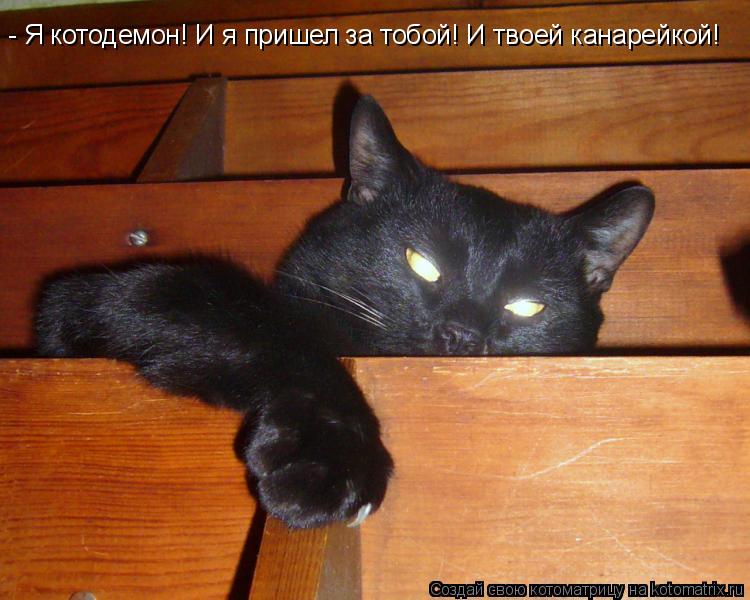 - Я котодемон! И я пришел за тобой! И твоей канарейкой!... Котоматрица: - Я котодемон! И я пришел за тобой! И твоей канарейкой!