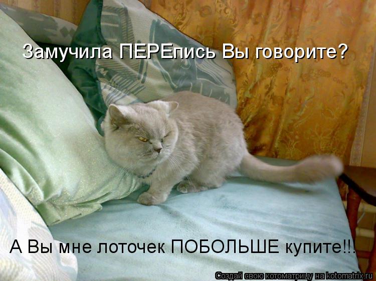 Котоматрица: Замучила ПЕРЕпись Вы говорите? А Вы мне лоточек ПОБОЛЬШЕ купите!!!