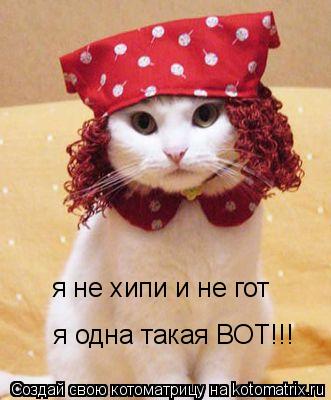 Котоматрица: я не хипи и не гот   я одна такая ВОТ!!!