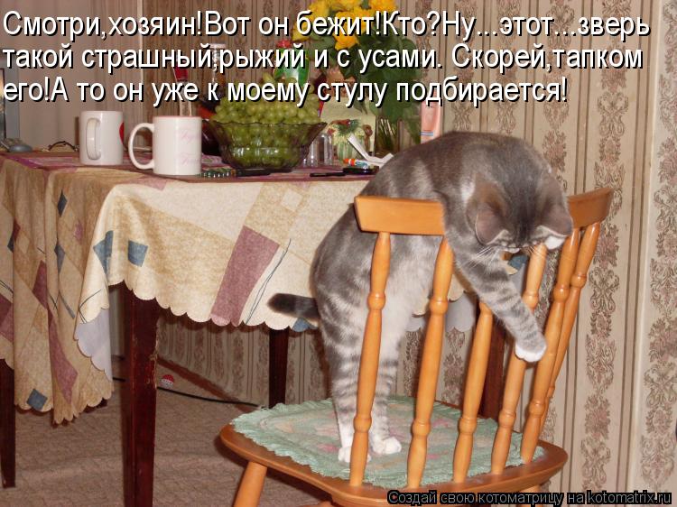 Котоматрица: Смотри,хозяин!Вот он бежит!Кто?Ну...этот...зверь такой страшный,рыжий и с усами. Скорей,тапком  его!А то он уже к моему стулу подбирается!