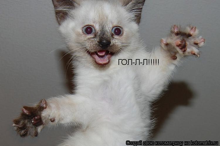 Котоматрица: ГОЛ-Л-Л!!!!!