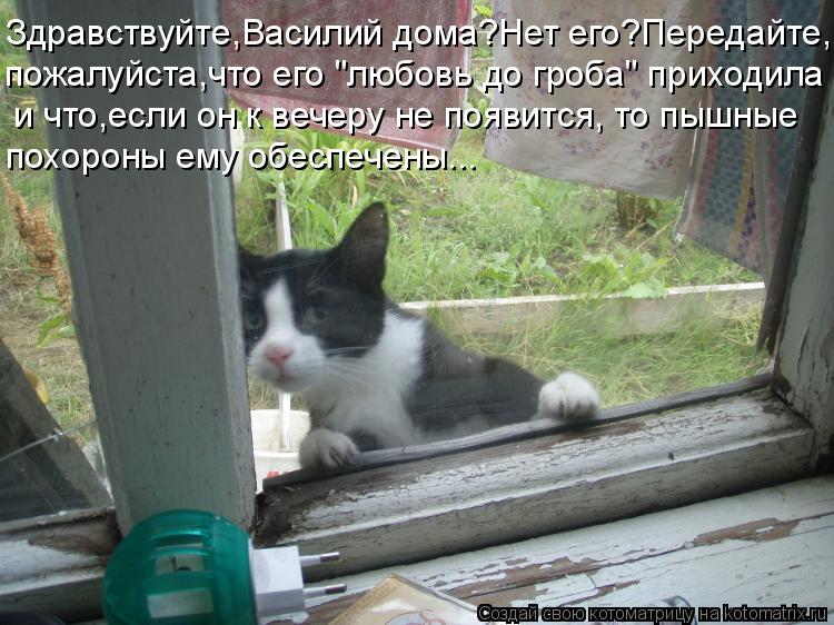 Котоматрица: Здравствуйте,Василий дома?Нет его?Передайте, пожалуйста,что его "любовь до гроба" приходила  и что,если он к вечеру не появится, то пышные по