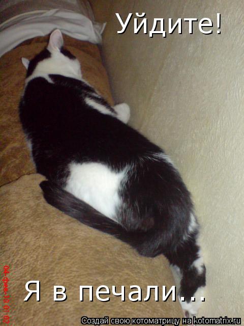 Котоматрица: Уйдите!  Я в печали...