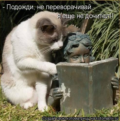 Котоматрица: - Подожди, не переворачивай,  я еще не дочитал!!