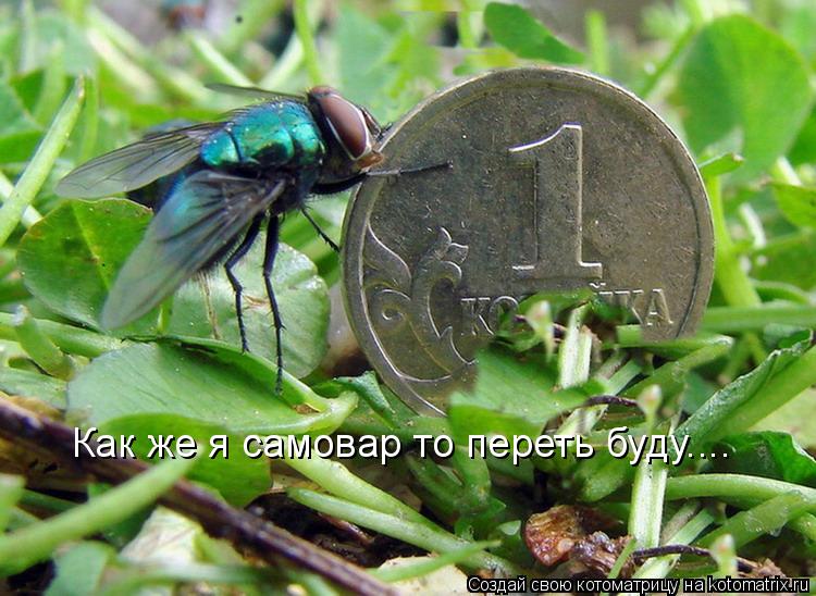 Котоматрица: Как же я самовар то переть буду....
