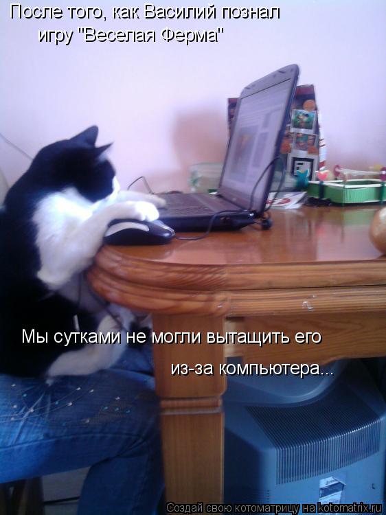 Котоматрица: После того, как Василий познал игру "Веселая Ферма" Мы сутками не могли вытащить его из-за компьютера...