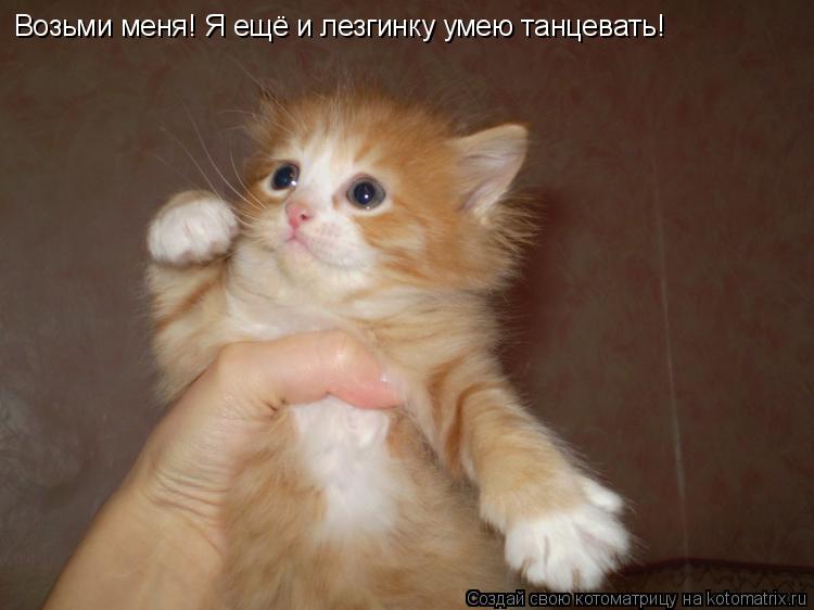 Котоматрица: Возьми меня! Я ещё и лезгинку умею танцевать!