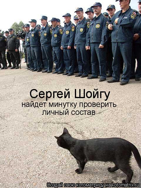 Котоматрица: Сергей Шойгу найдет минутку проверить личный состав