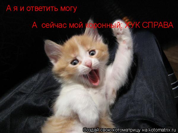 А я и ответить могу А сейчас мой коронный: ХУК СПРАВА... Котоматрица: А я и ответить могу А сейчас мой коронный: ХУК СПРАВА