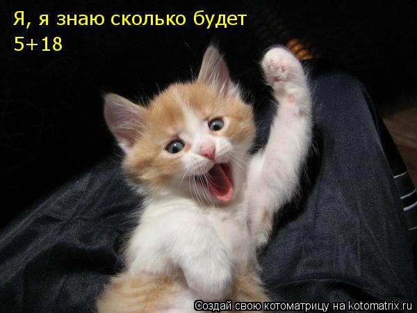 Я, я знаю сколько будет 5+18... Котоматрица: Я, я знаю сколько будет 5+18